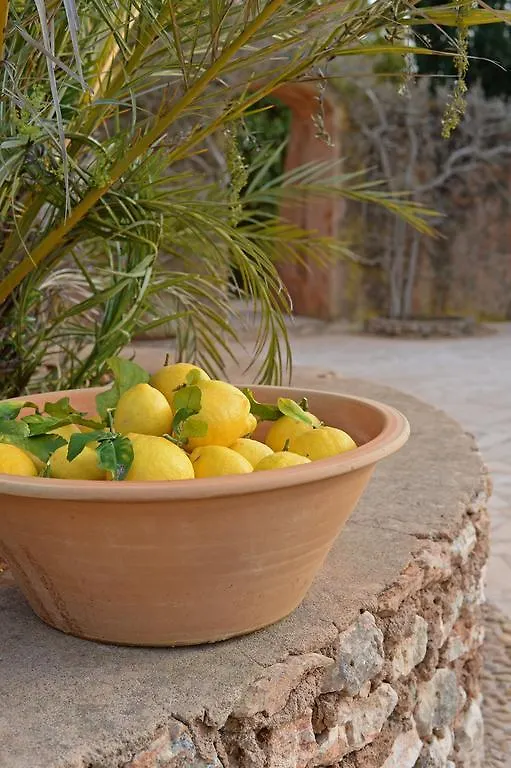 Agroturismo Sa Pletassa Felanitx